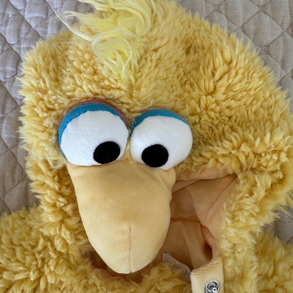 Pottery Barn Big Bird Costume Size 12-24 Months - Picture 2 of 4